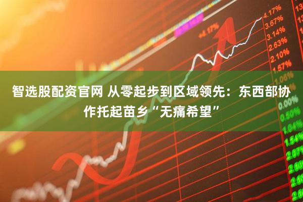 智选股配资官网 从零起步到区域领先：东西部协作托起苗乡“无痛希望”